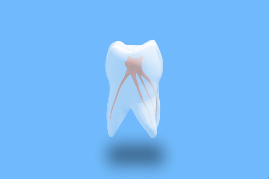 شكل عصب الاسنان